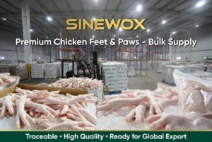 Read more about the article Sinewox: Your Premier Global Supplier of Premium Chicken Feet and Paws
